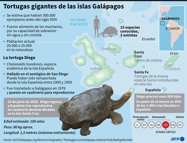 Ecuador Diego La Tortuga “sex Symbol” De 100 Años Que Salvó A Su Especie Y Fue Devuelta A Su 0701