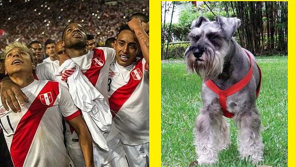 Este perro te puede llevar gratis a Rusia 2018 con la selección peruana