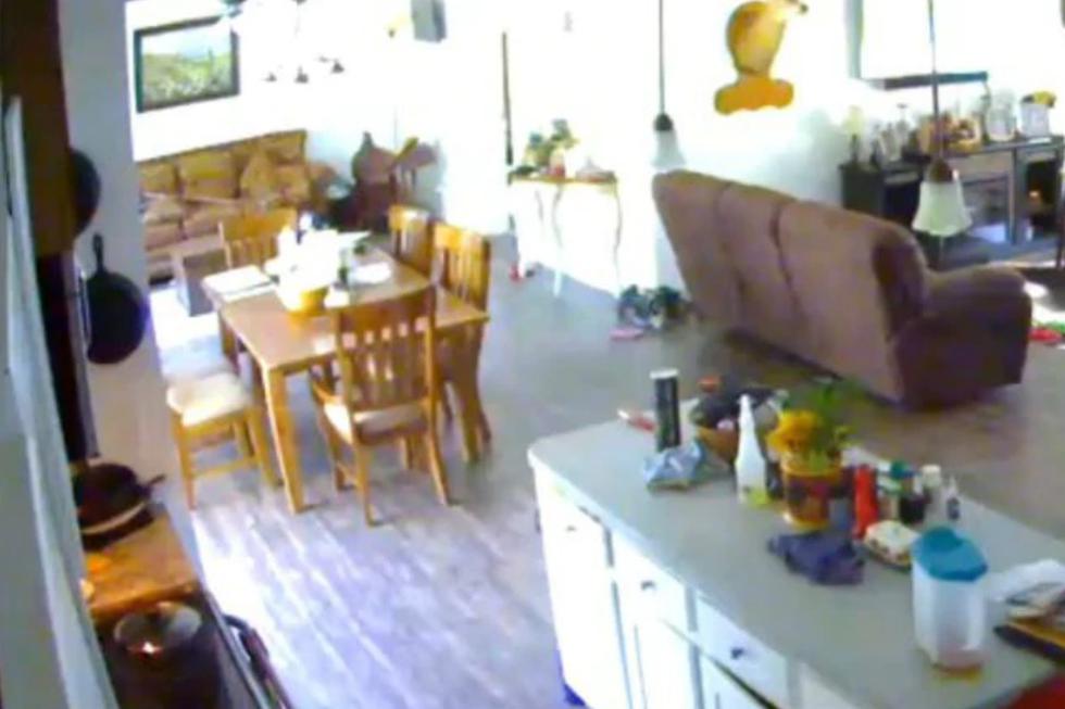 Facebook viral | Una de su cámara de seguridad le reveló lo que ocurría en su casa cuando no había nadie | nnda nnrt | Estados Unidos | USA | EEUU