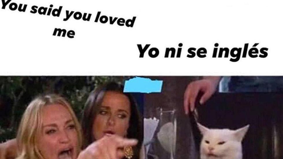 ¡Llegó el vacilón! Meme del gato y la mujer gritando | Mira las 20 mejores imágenes que te harán matar de risa | FOTOS