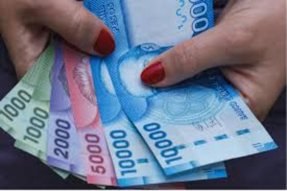 Bono Covid-19 Chile 2020: conoce todos los detalles de esta subvención que forma parte del Plan de Emergencia Económica