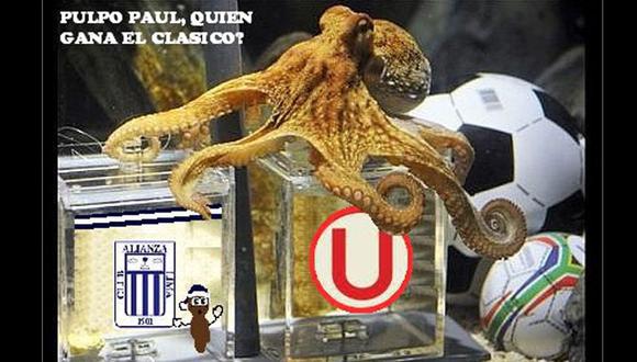 El pulpo Paul pronosticó que la 'U' gana el clásico este sábado