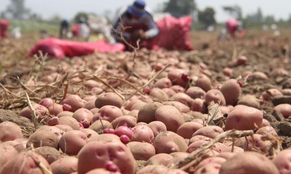 El Bono Agrario puede empezar en la última semana del mes de abril