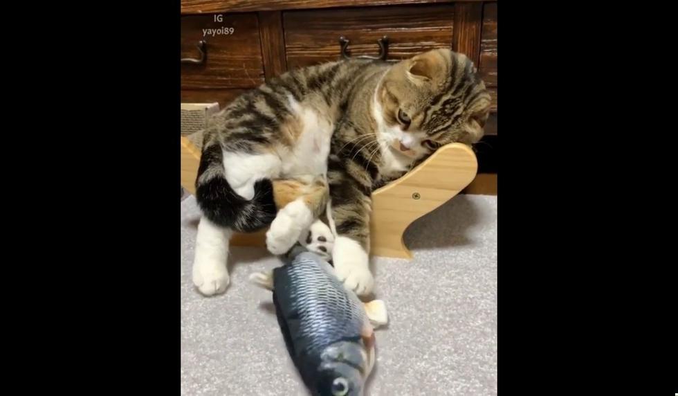 El clip se hizo famoso gracias a 9GAG. (Foto: @9GAG)