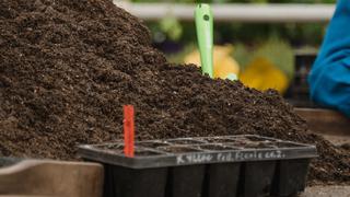 Cómo hacer compost casero paso a paso: consejos útiles