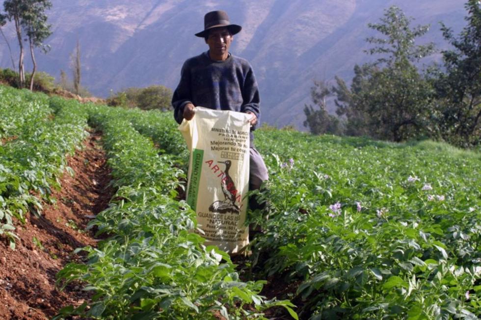 El Gobierno otorgará un bono de 760 soles a más de un millón de hogares que viven en las zonas rurales del país, afectadas por el aislamiento domiciliario y la inmovilización social obligatoria (Foto: Andina)