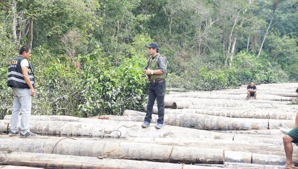 Fortalecen lucha contra la tala ilegal de madera en Ucayali. (Imagen referencial)