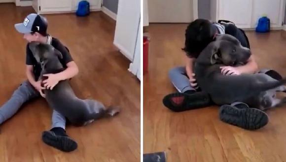 Un menor de 10 años se reencontró con su perro luego de dos meses y comenzó a llorar.