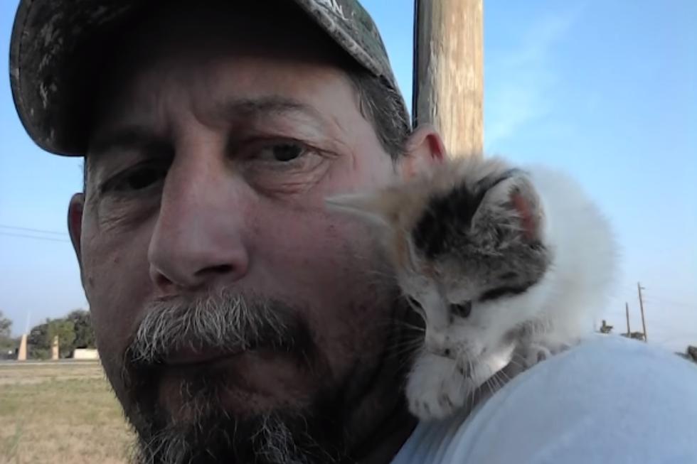 'Hazel' encontró a la minina -que posteriormente fue bautizada como 'Sheba'- en la entrada de su casa y la llevó hasta su dueña, que la ayudó y logró que su hermano la adoptara. (Foto: Happily en YouTube)