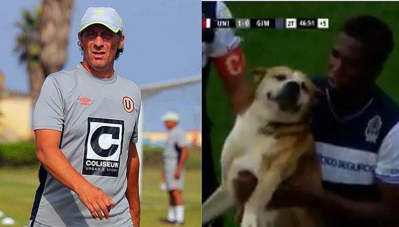 Pedro Troglio culpó a un perro tras la derrota de su equipo [VIDEO]