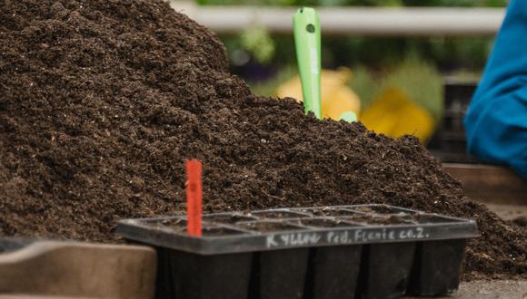 Compost casero, un fertilizante natural para nuestro jardín o plantas. (Foto: Pexels)