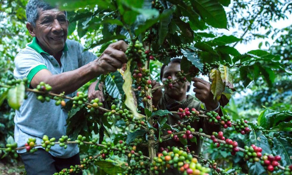 Revisa todos los detalles sobre el bono de 760 soles