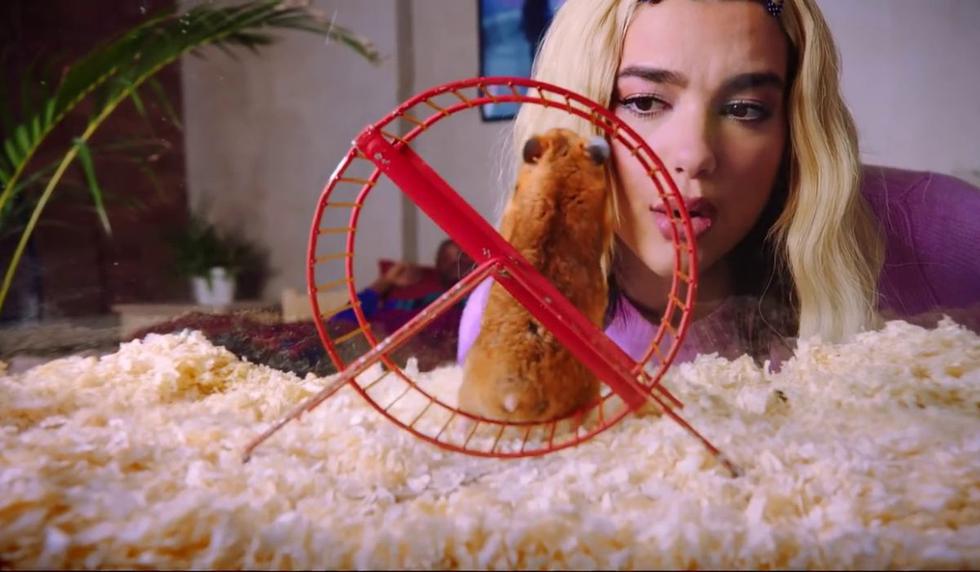 Dua Lipa tiene millones de seguidores en las redes. (Captura video de YouTube)