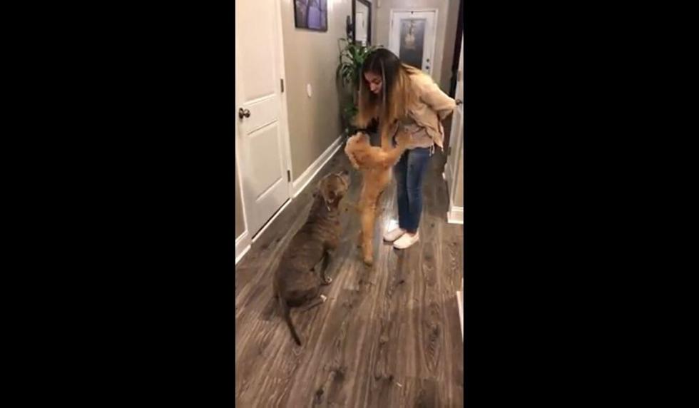 El video tiene no pocas reproducciones. (Captura)