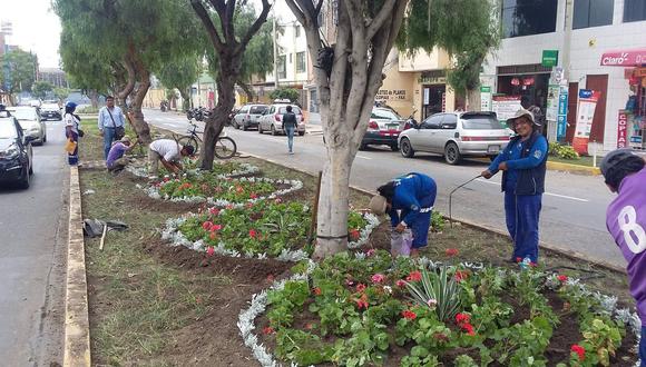 Municipalidad de Lima realizó los trabajos de mantenimiento en las áreas verdes. (Foto: archivo)