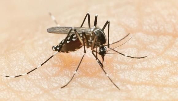 CDC indica que de acuerdo a la clasificación, el 11,93% son casos de dengue con signos de alarma y el 0,4% son dengue grave. (Foto: Getty)