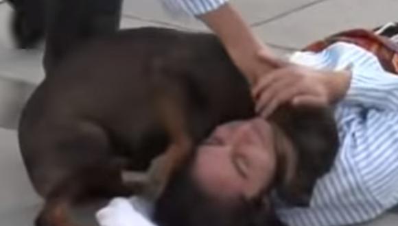 El perro callejero detuvo la obra teatral para consolar a un actor que interpretaba el papel de un hombre herido. | Foto: HoyViral/YouTube