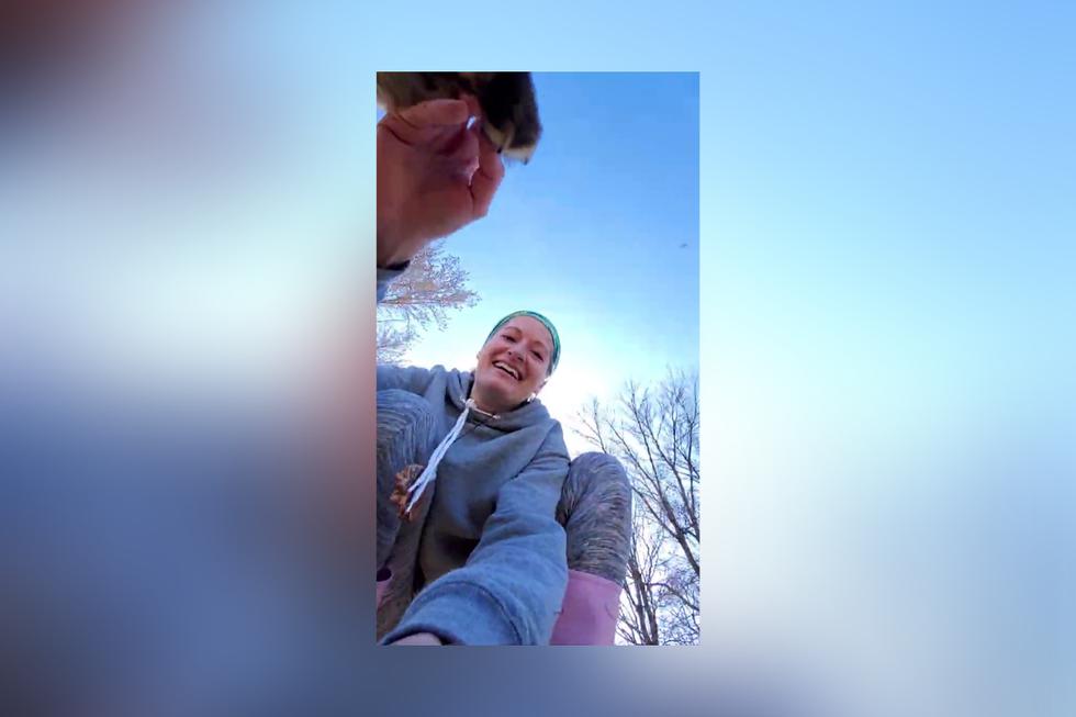 En el video se observa a 'Dixie' arrebatar un teléfono y echar a correr con la intención de enterrarlo en el suelo. (Foto: SafeAFox en YouTube/@saveafox_rescue en Instagram)