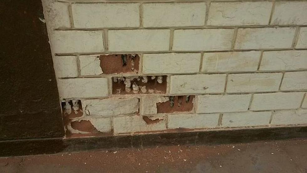 Universitario de Deportes: La pésimas condiciones de Campo Mar