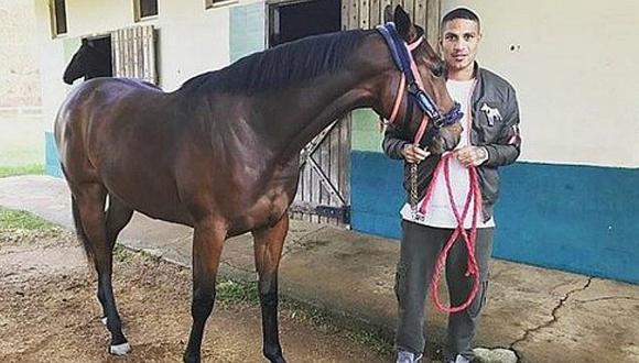 Selección peruana: Paolo Guerrero se luce con su nuevo caballo
