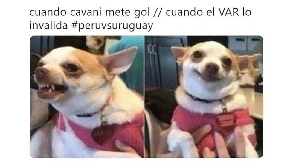 Edinson Cavani protagoniza los mejores memes tras clasificación de Perú a semifinales | FOTOS