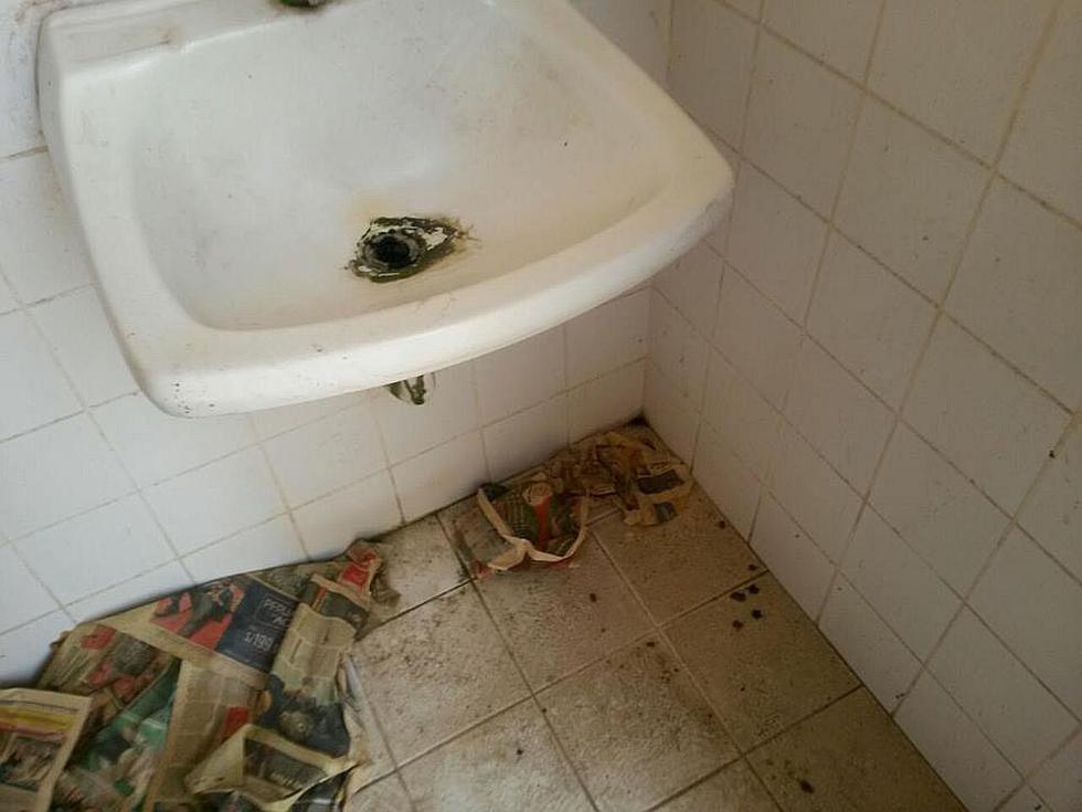 Universitario de Deportes: La pésimas condiciones de Campo Mar