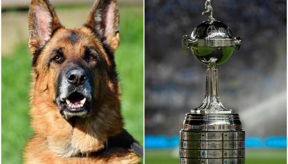 El perro policía se hizo famoso en la Copa Libertadores 1991.
