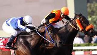 Hípica: Estos son los prónosticos de hoy