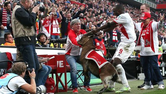 Bundesliga: Nigeriano de Colonia se disculpa por festejo exagerado con 'mascota' [VIDEO]