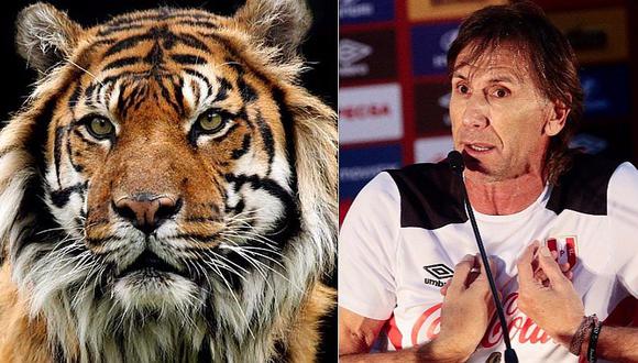 Selección peruana: Ricardo Gareca revela por qué lo llaman 'Tigre'