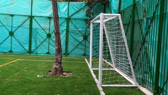 VIRAL | Insólito campo de fútbol con un árbol en medio es polémica en Colombia | VIDEO