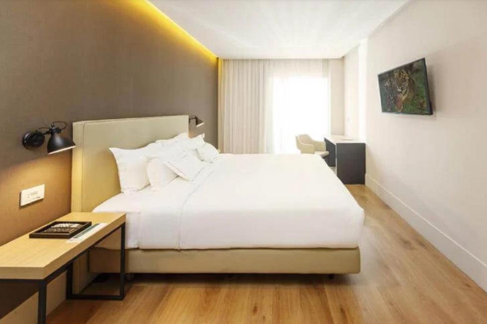 (Foto: www.palmaroga.com)