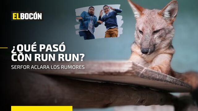 ¿Qué pasó con ‘Run Run’?: Serfor despeja todas las dudas
