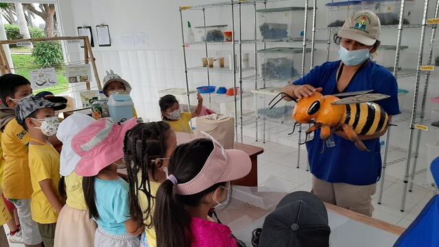 Parque de las Leyendas: escolares visitantes podrán aprender de botánica, zoología y arqueología 