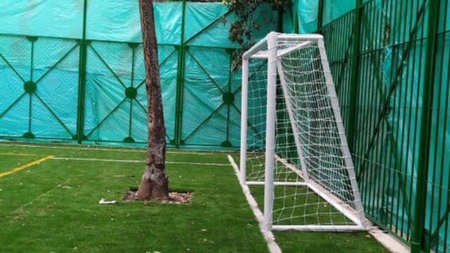 VIRAL | Insólito campo de fútbol con un árbol en medio es polémica en Colombia | VIDEO