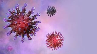 Coronavirus | Fármaco parasitario elimina al Covid-19 en 48 horas, según estudios australianos