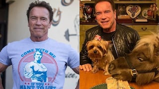 Coronavirus: Arnold Schwarzenegger aconseja a la gente a quedarse en casa con video donde aparece con su burro y su pony