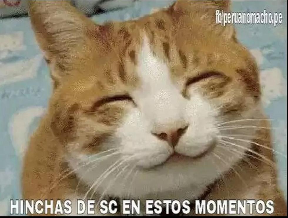 ​Memes tras el título de Sporting Cristal frente a Juan Aurich [FOTOS]