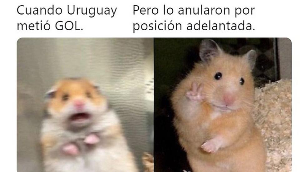 Edinson Cavani protagoniza los mejores memes tras clasificación de Perú a semifinales | FOTOS