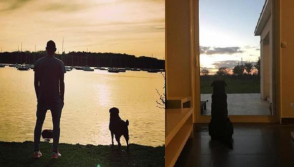 Hermana de Emiliano Sala comparte foto de su perra esperándolo | FOTOS