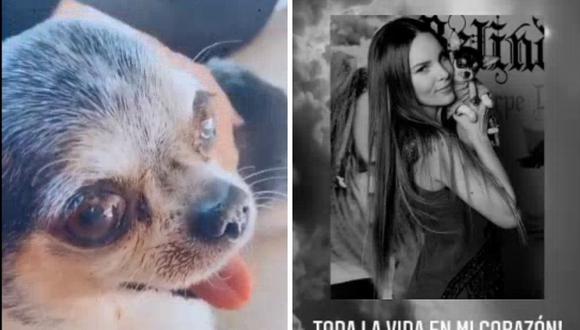 Belinda contó en redes sociales lo mucho que quería a Gizmo, su chihuahua. (Foto: Instagram / @belipop)