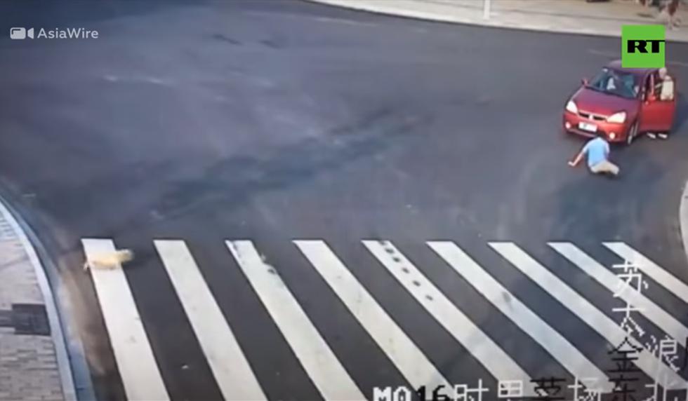 Un perro 'enseña' a un humano a cruzar la calle. (YouTube | RT en Español)