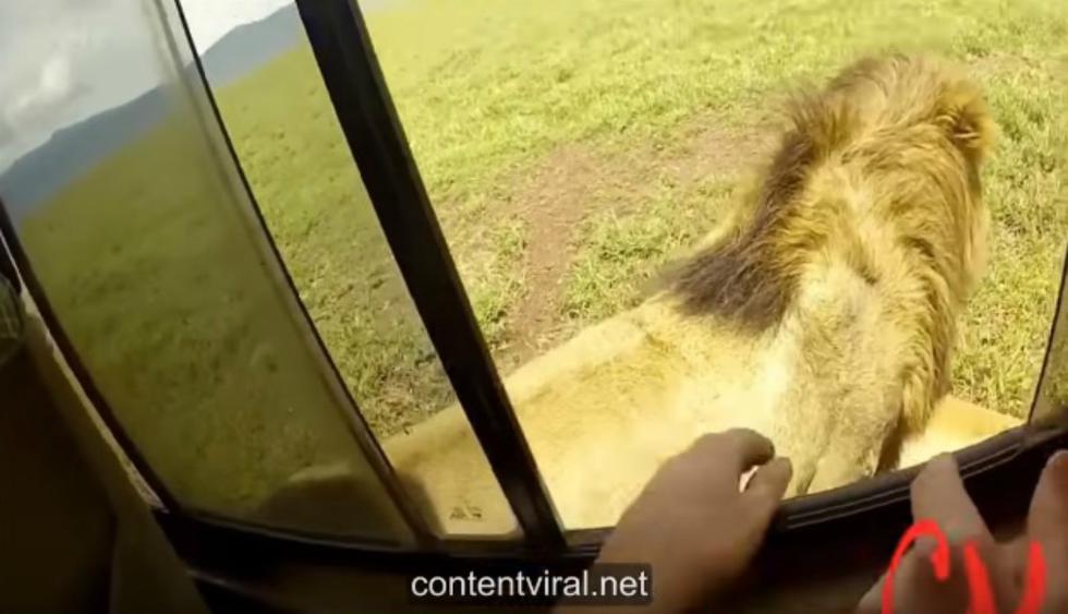 Video de YouTube generó conmoción entre los usuarios de la red social. (Foto: Captura)